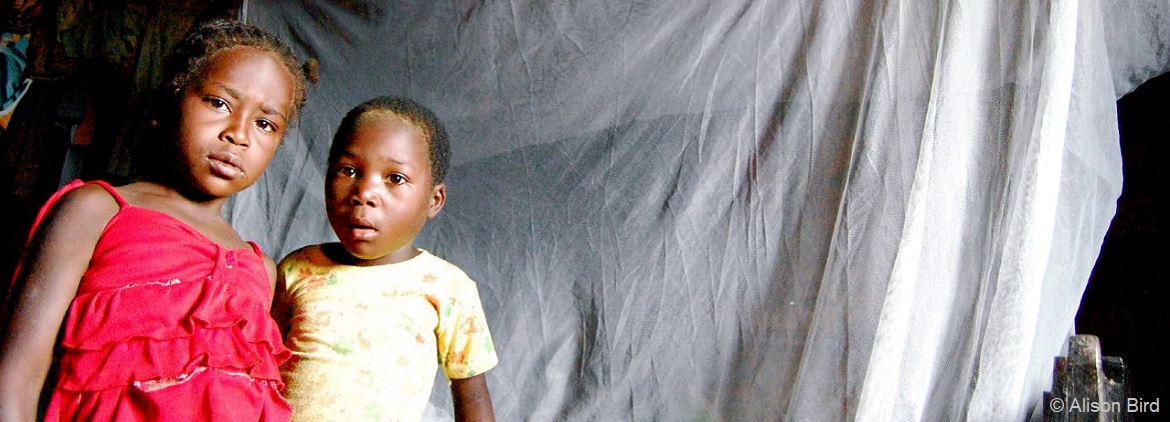 Ten Facts 5 CC.AlisonBird.USAID.Angolan children with bednets