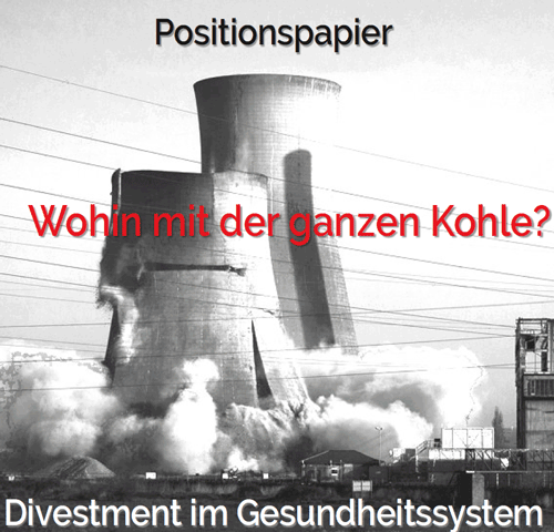 Positionspapier Divestment Wohin mit der Kohle