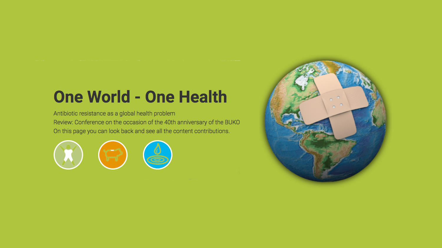 One-World-One-Health-Kategoriebild