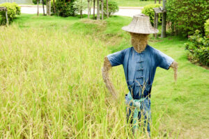 Strohfigur auf Wiese