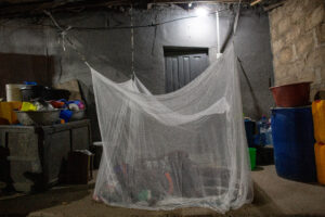 Personen liegen unter einem Moskitonetz.