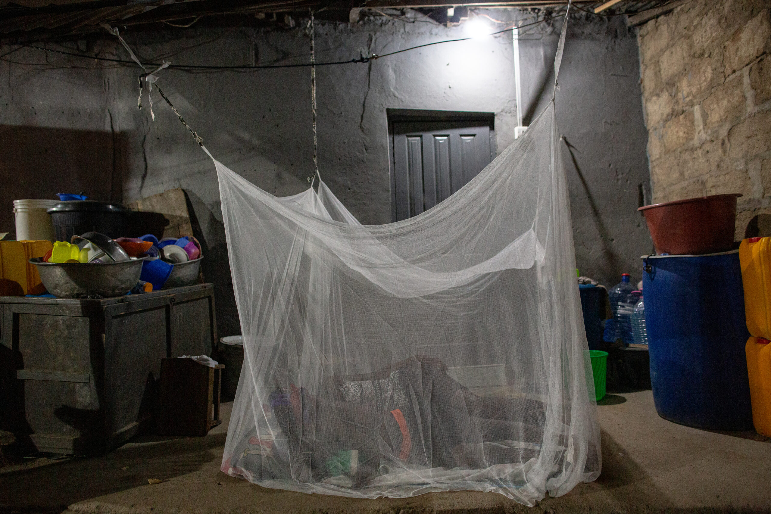 Personen liegen unter einem Moskitonetz.