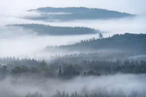 Panoramablick auf eine hügelige Landschaft in der Eifel in Rheinland-Pfalz.